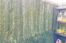 Apartament 2 camere, 33 mp, semidecomandat, Faget