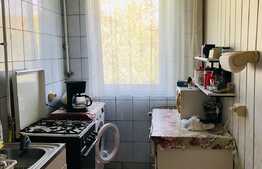 Apartament 4 camere, 57 mp, etaj intermediar, Mănăștur