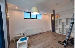 Apartament 2 camere, 55mp, 2 parcari, curte, zona Buna Ziua