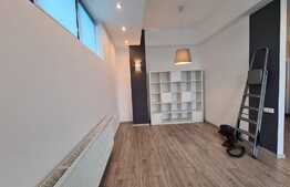 Apartament 2 camere, 55mp, 2 parcari, curte, zona Buna Ziua