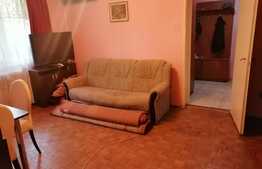 Apartament 2 camere, 46 mp, zona Brancusi 