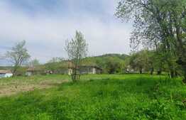 Casa modesta la tara, teren generos de 2500 mp, front 45 m