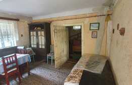 Casa modesta la tara, teren generos de 2500 mp, front 45 m