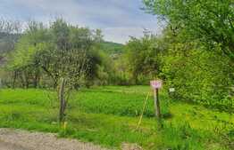 Casa modesta la tara, teren generos de 2500 mp, front 45 m