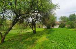 Casa modesta la tara, teren generos de 2500 mp, front 45 m