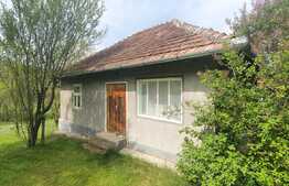 Casa modesta la tara, teren generos de 2500 mp, front 45 m