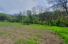 Casa modesta la tara, teren generos de 2500 mp, front 45 m