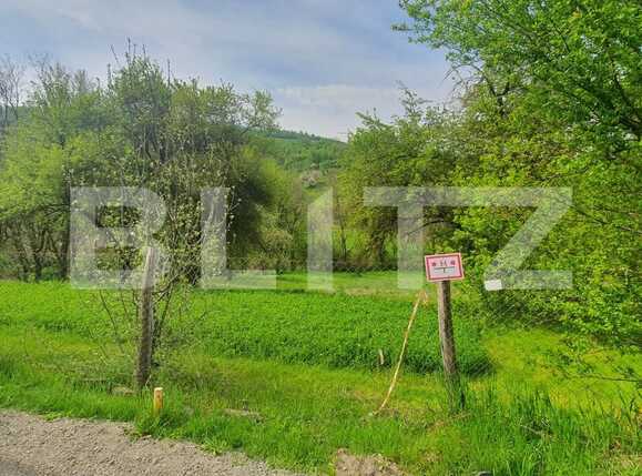 Casa de vânzare 2 camere Exterior Est - 86215CV | BLITZ Cluj-Napoca | Poza3