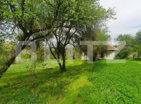 Casa de vânzare 2 camere Exterior Est - 86215CV | BLITZ Cluj-Napoca | Poza6