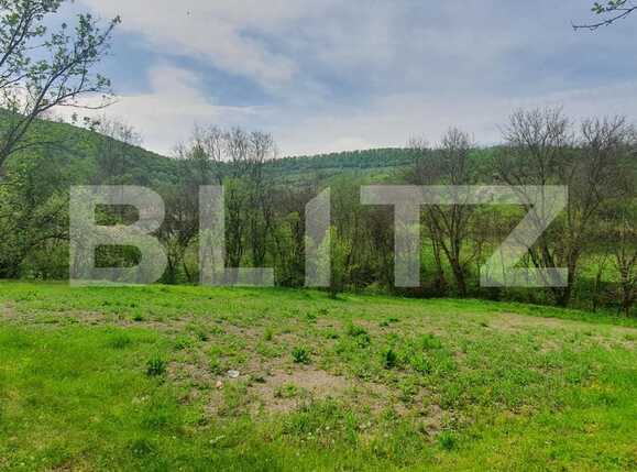 Casa de vânzare 2 camere Exterior Est - 86215CV | BLITZ Cluj-Napoca | Poza5