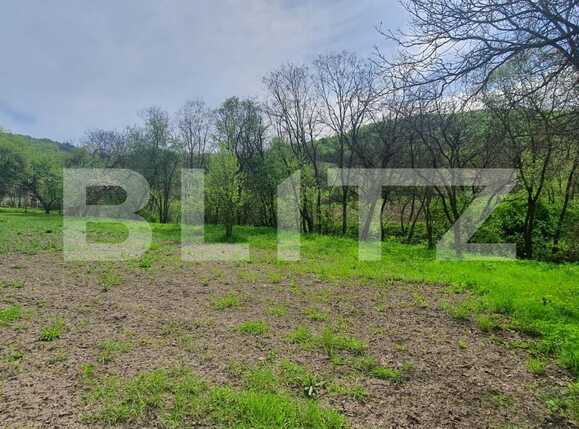 Casa de vânzare 2 camere Exterior Est - 86215CV | BLITZ Cluj-Napoca | Poza4