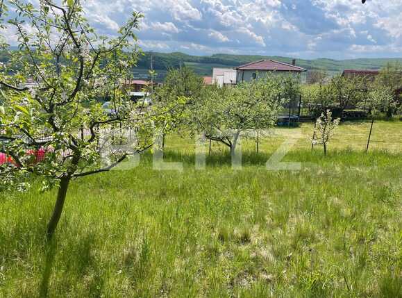 Teren de vânzare Dambul Rotund - 86217TV | BLITZ Cluj-Napoca | Poza5