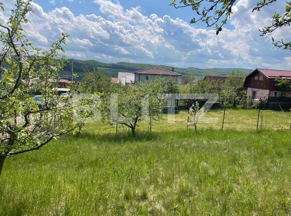 Teren de vânzare Dambul Rotund - 86217TV | BLITZ Cluj-Napoca | Poza2