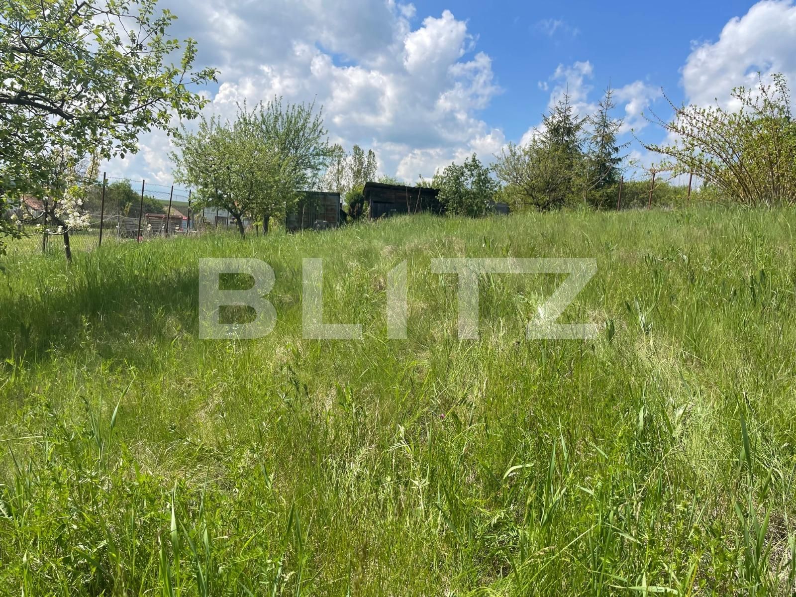 Teren de vânzare Dambul Rotund - 86217TV | BLITZ Cluj-Napoca | Poza6