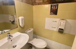 Casa cu 8 camere, 315 mp, Ultracentral, pentru locuit, birou sau local!