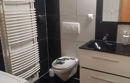 Apartament doua camere, 50 mp, zona Graurului