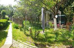 Apartament 2 camere, 50mp, gradina, Centru