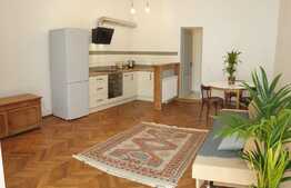 Apartament 2 camere, 50mp, gradina, Centru