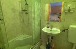 Garsoniera 24 mp, zona Astra