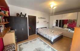 Apartament decomandat, 2 camere, 58 mp, zona Porii