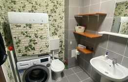 Apartament decomandat, 2 camere, 58 mp, zona Porii