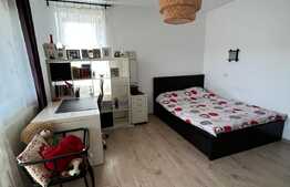 Apartament 2 camere, 50 mp, parcare, petfriendly, zona Somesului