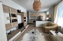 Apartament 2 camere, 50 mp, parcare, petfriendly, zona Somesului