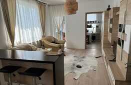 Apartament 2 camere, 50 mp, parcare, petfriendly, zona Somesului