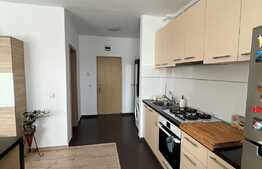 Apartament 2 camere, 50 mp, parcare, petfriendly, zona Somesului