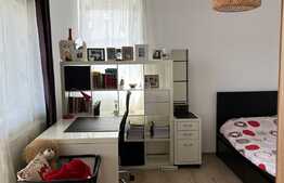 Apartament 2 camere, 50 mp, parcare, petfriendly, zona Somesului
