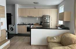 Apartament 2 camere, 50 mp, parcare, petfriendly, zona Somesului