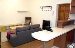 2 camere, 65 mp, mobilat modern, zona Parcului Central