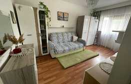 Garsoniera 21 mp, etaj intermediar, parcare, zona Calea Baciului