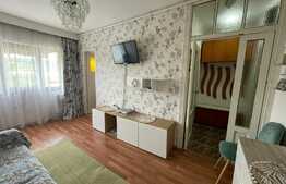 Garsoniera 21 mp, etaj intermediar, parcare, zona Calea Baciului