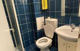 Garsoniera 21 mp, etaj intermediar, parcare, zona Calea Baciului