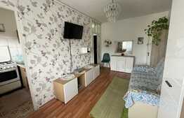 Garsoniera 21 mp, etaj intermediar, parcare, zona Calea Baciului