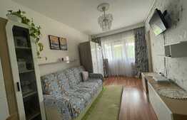 Garsoniera 21 mp, etaj intermediar, parcare, zona Calea Baciului