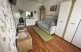 Garsoniera 21 mp, etaj intermediar, parcare, zona Calea Baciului