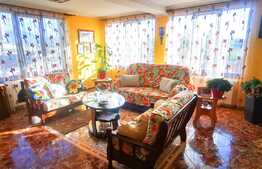 Casa de 5 camere, 500 mp, zona Sanpetru