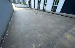 Spatiu comercial, 150 mp, terasa,  zona Vivo