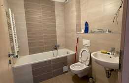 Studio 42 mp, cu gradina 25mp, zona Casa Nobel