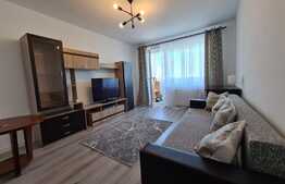 Apartament 2 camere, decomandat, 55mp, zona strazii Unirii