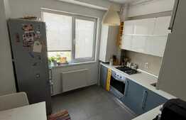 Apartament 2 camere, 54 mp, etaj intermediar, Pod Ira 