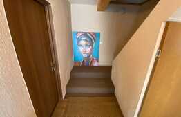 Apartament de 3 camere, la casa de 110mp