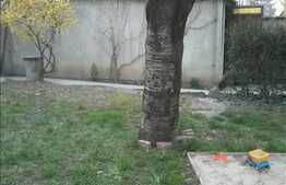 Vanzare apartament 6 camere, 142 mp, cu gradina 220 mp, garaj si loc parcare!