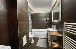 Apartament de 2 camere, 45mp, balcon, zona Petrom