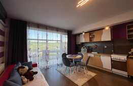 Apartament de 2 camere, 45mp, balcon, zona Petrom