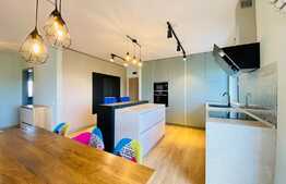 Penthouse, 110 mp utili, terasa 80 mp, 2 garaje, zona Calea Turzii