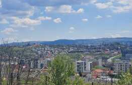 Casa 5 camere, 260 mp, 800 mp teren, zona Lombului