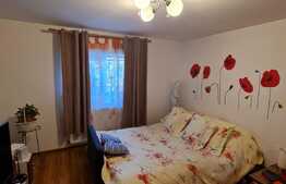 Casa 3 camere, 720 mp teren, zona Somesului